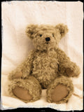 Woodward teddy bear