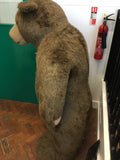 Alice's Bear Shop Memorabilia - 'Lord Snuggles' - Ex Shop Display - Giant Brown Bear