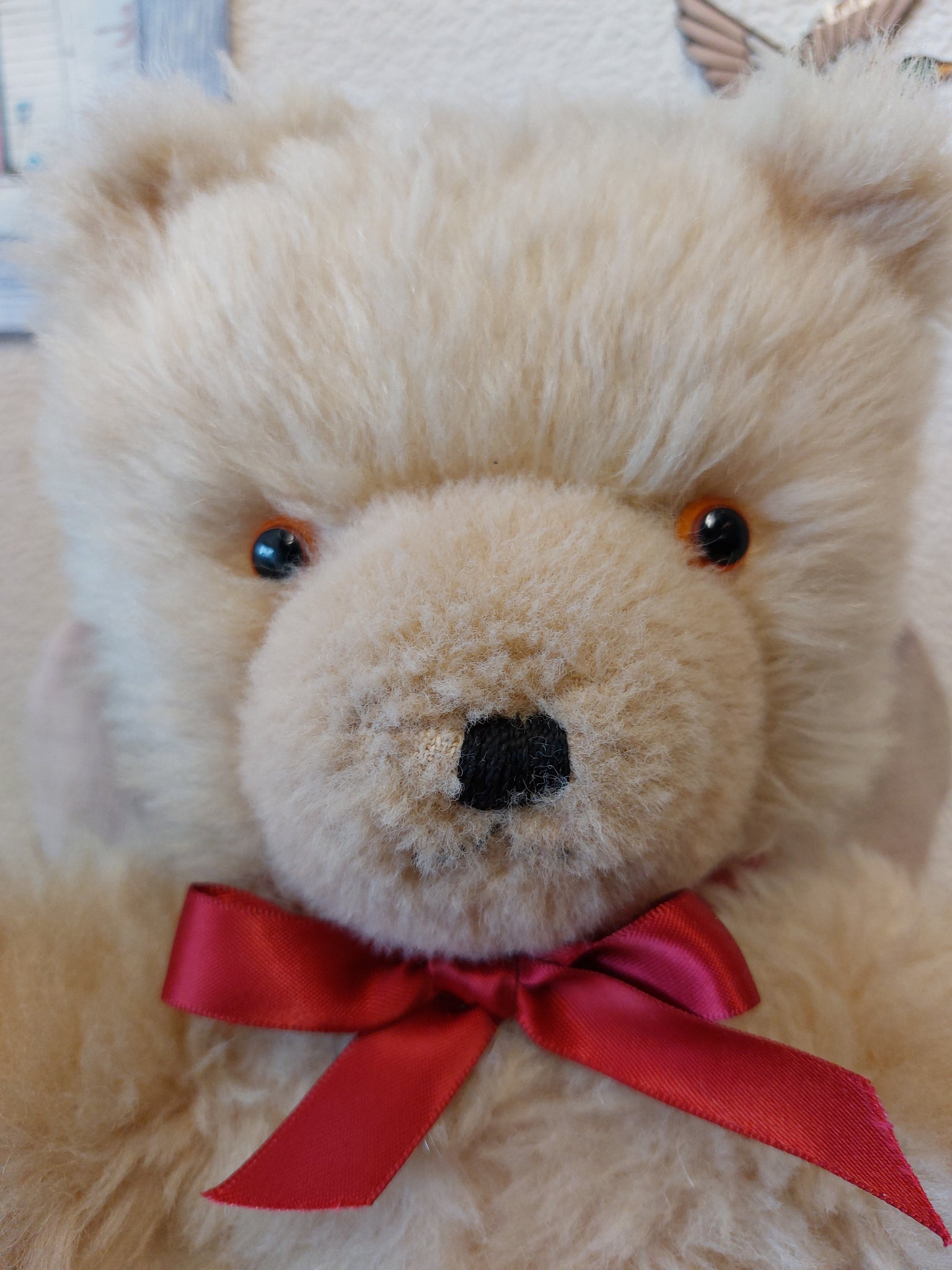 Wendy boston store teddy bear