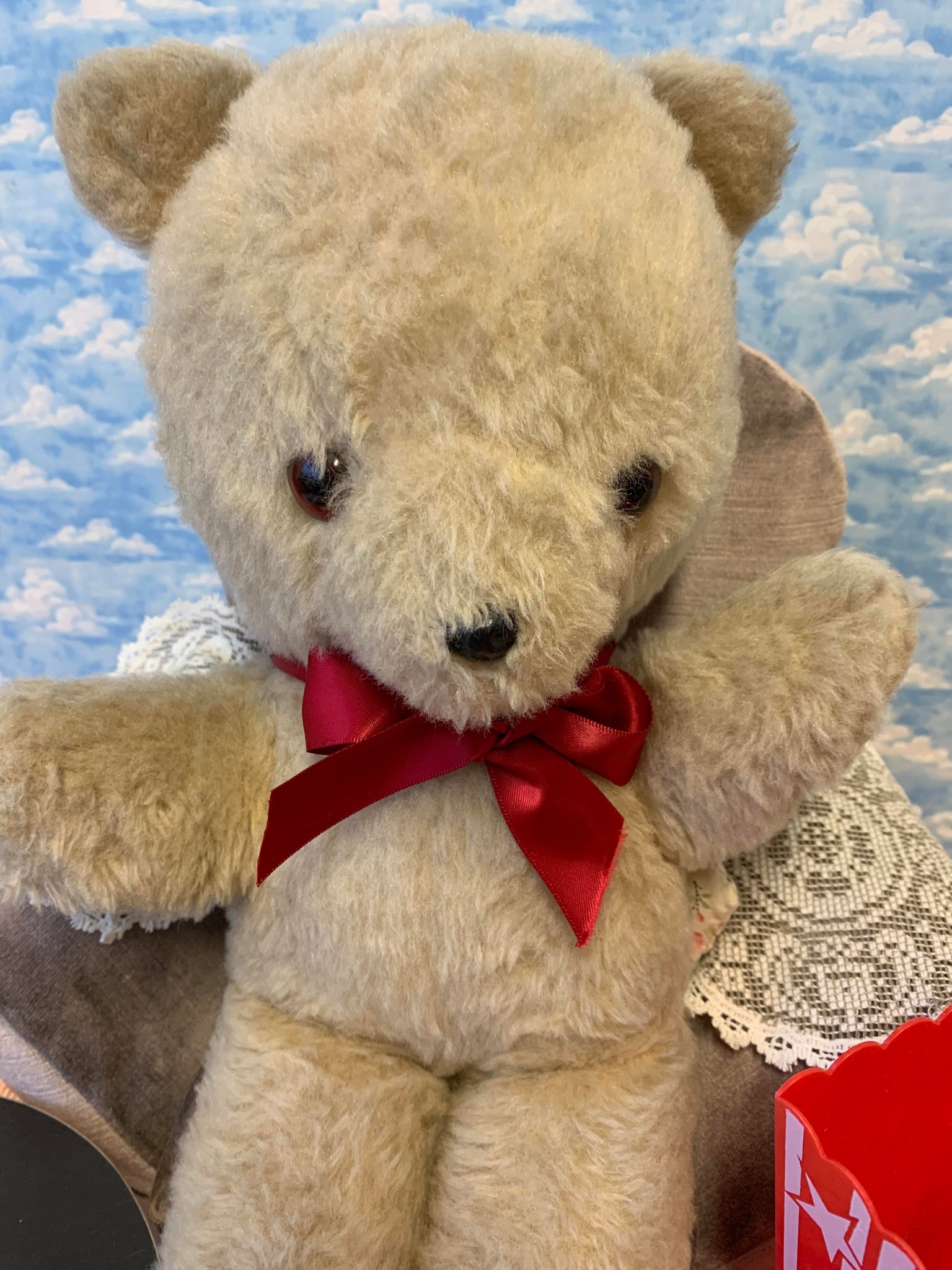 pedigree teddy bear 1950s